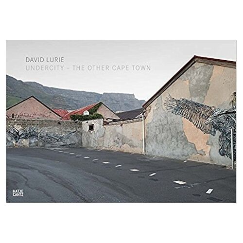 David Lurie Undercity The Other Cape Town