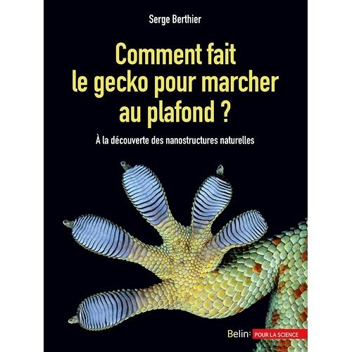 Comment Fait Le Gecko Pour Marcher Au Plafond ? - A La Découverte Des Nanostructures Naturelles
