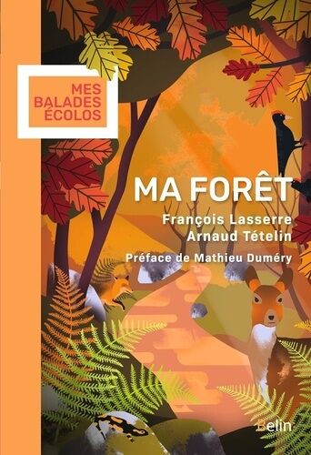 Ma Forêt