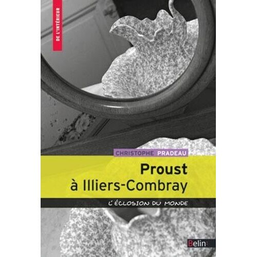 Proust À Illiers-Combray - L'éclosion Du Monde