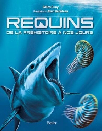 Requins De La Préhistoire À Nos Jours