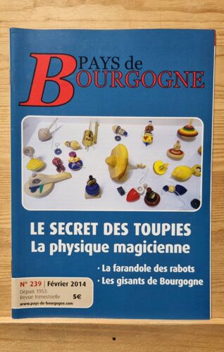 Pays De Bourgogne 239 Février 2014. Le Secret Des Toupies La Physique Magicienne. La Farandole Des Rabots. Les Gisants De Bourgogne