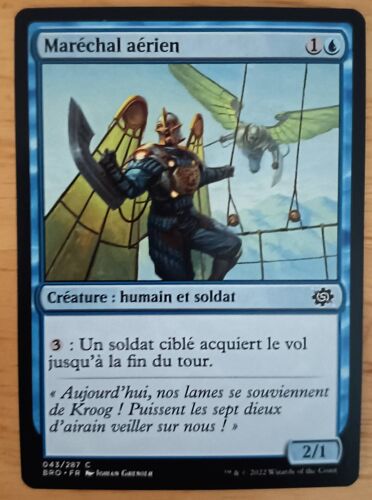 Air Marshall // Maréchal Aérien (La Guerre Fratricide)