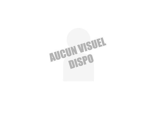 Cartouche compatible EPSON 114 - Gris - C13T07B540 - 70ml