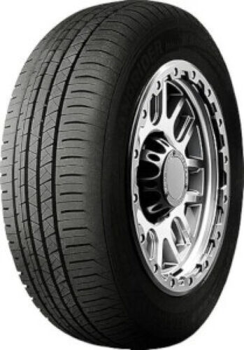 Pneu Double Star DS09 ( 225/60 R17 99H )