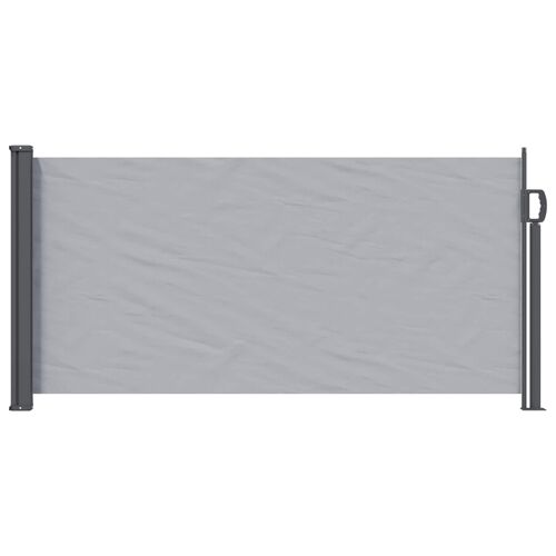 Vidaxl Store Latéral Rétractable 300 X 100 Cm Polyester Rectangulaire