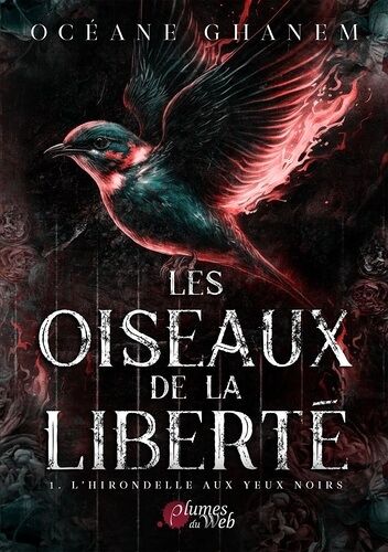Les Oiseaux De La Liberté - Tome 1 - L'hirondelle Aux Yeux Noirs
