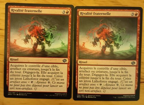 Sibling Rivalry // Rivalité Fraternelle (La Guerre Fratricide)