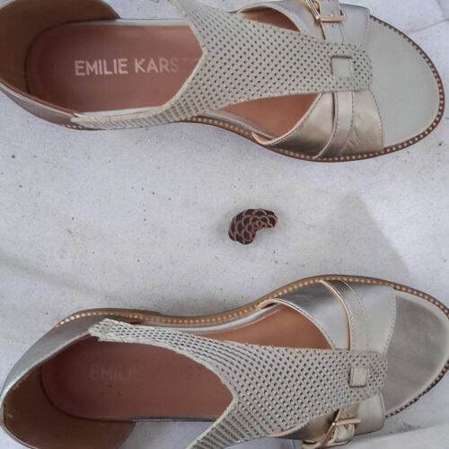 Chaussure Femme