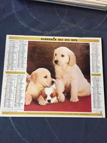 Almanach Des Ptt 1975 : Chiens Et Ecureuil.