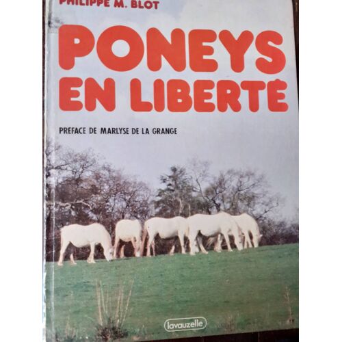 Poneys En Liberté