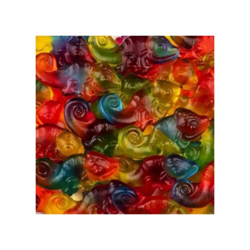 4x Haribo Gommes Aux Fruits Caméléon | 1 Kg