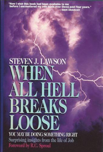 When All Hell Breaks Loose: You May Be Doing Something Right : Surprising Insights From The Life Of Job