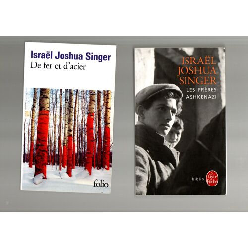Israël Joshua Singer, Les Frères Ashkenazi + De Fer Et D'Acier