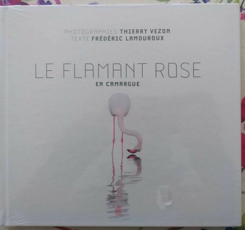 Le Flamand Rose En Camargue