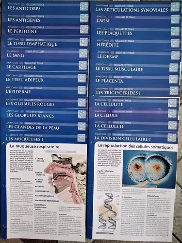 Lot Fiches "Corps Humain - Anatomie : Cellules Et Tissus" (Ed. Atlas)