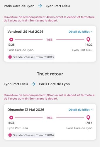 1 Billet Aller-Retour Paris ? Lyon À Saisir