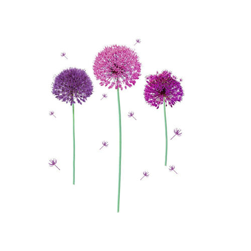 Sticker décoratif allium violet