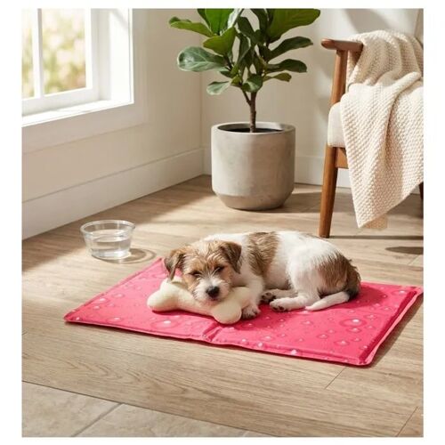 Tapis Rafraîchissant Pour Chien 40 X 50 Cm Fresk Fuchsia