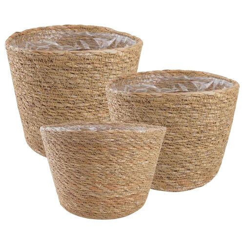 Vidaxl Paniers À Plantes En Herbe De Mer 3 Pcs Naturel Ø26 X 19 Cm