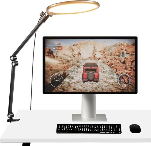 NEEWER BASICS 10,5"" Key Light Streaming, Ring Light Anneau Lumineux Panneau LED Plein écran,3000-6500K,15W,avec Bras Articulé,Support de Bureau & Minuterie,pour Ordinateur Portable,Zoom Maquillage,R10