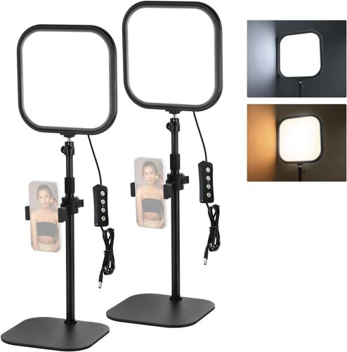 NEEWER BASICS Pack de 2 Lampes de Visioconférence 10,8"" avec Support/Mount pour Téléphone,Lumière Bureau Bicolore 15W à éclairage Périphérique,CRI 95+,pour Ordinateur Portable,Webcam,Appels Zoom,L220