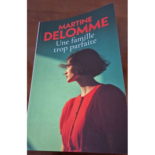 Une Famille Trop Parfaite Martine Delomme