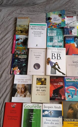 Lots De 45 Livres En Très Bon État.