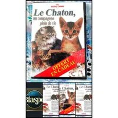 Dvd Le Chaton Un Compagnon Plein De Vie Royal Film Documentaire Chats Chatons Pal Français