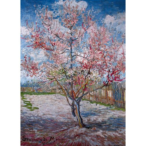 Affiche / Poster - Vincent Van Gogh - Souvenir De Mauve - 50x70cm