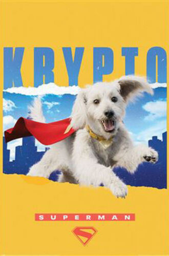 Affiche / Poster - Superman - Krypto - 61x91,5cm
