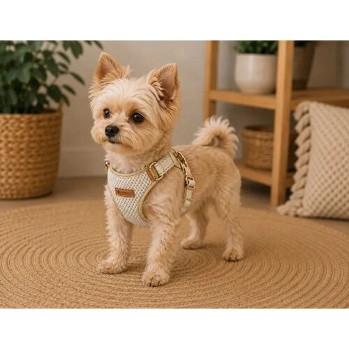 Harnais Pour Chien Lara Beige Xs 28-30cm 30-32cm