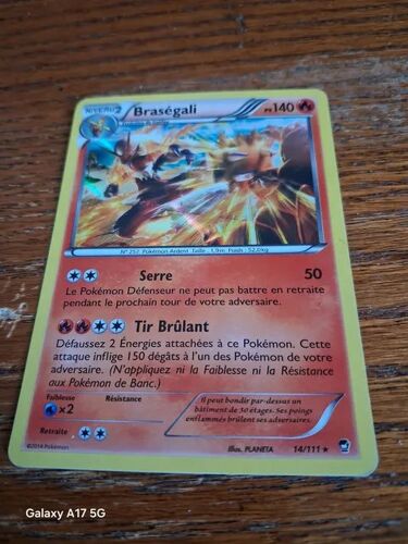 Image Pokemon Brasegali