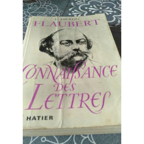 Flaubert Connaissance Des Lettres