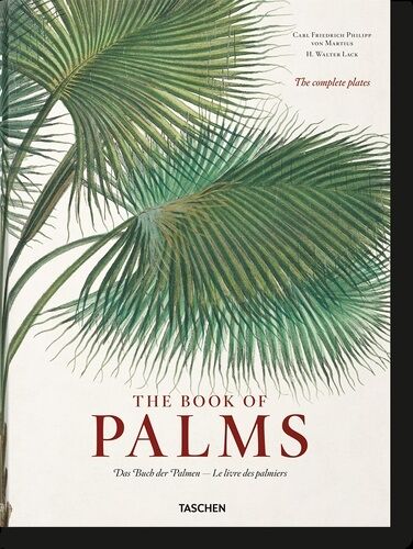 The Book Of Palms