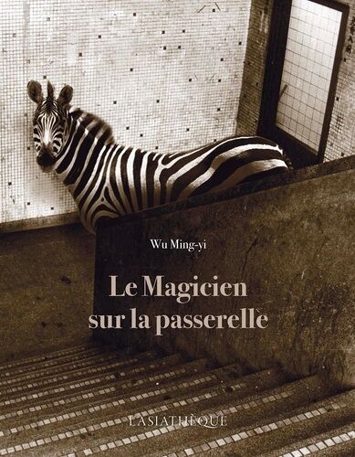 Le Magicien Sur La Passerelle