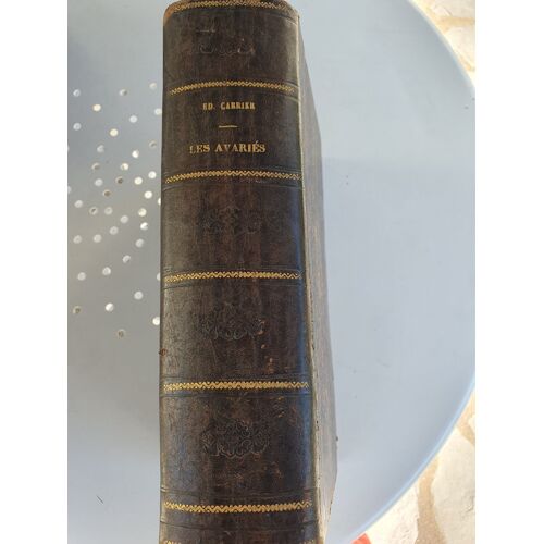Livre Ancien Les Avariés Illustrations Carrier Xix Ème Siècle