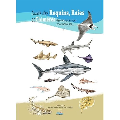 Guide Des Requins Raies Et Chimères Des Côtes Françaises Et Européennes
