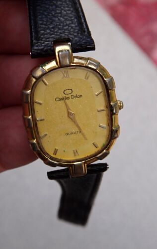 Montre Classique Charles Delon, Doree