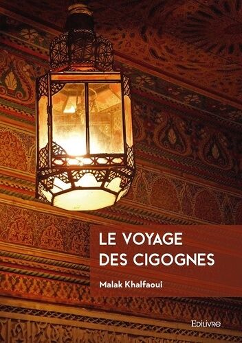 Le Voyage Des Cigognes