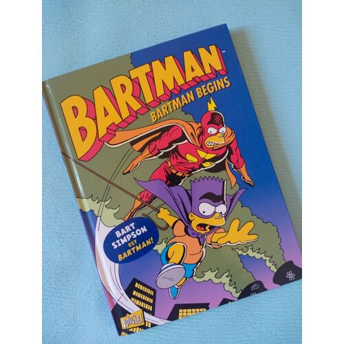 Bd Les Simpson : Bartman Begins
