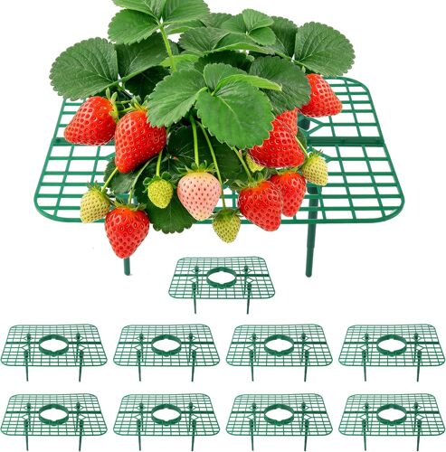 Support pour fraisiers, 10 supports carrés surélevés réutilisables, tuteurs de jardin pour culture de fraises en extérieur