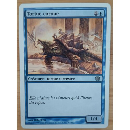 Horned Turtle // Tortue Cornue (8ème Édition)