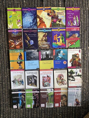 Biblio Lycée Collège Classiques Scolaires Lot De 25