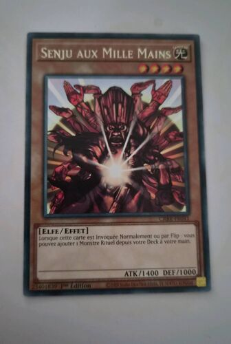 Senju Aux Mille Mains