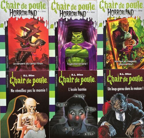 Lot 6 Livres "Chair De Poule" - R.L.Stine - Bayard