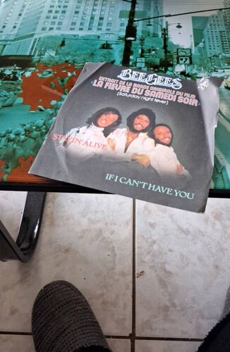 Vinyl