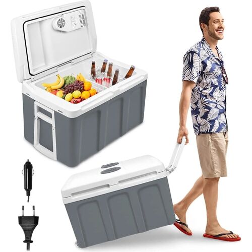 Glacière 48 L électrique 12- 220 volts