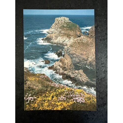 Carte Postale : Cleden-Cap-Sizun - La Pointe Du Van