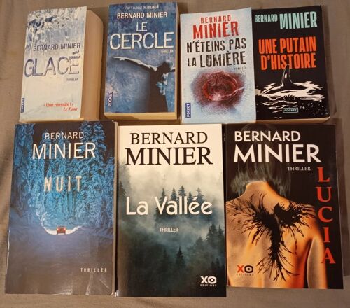 Lot 7 Romans Bernard Minier Glacé, Le Cercle, N' Éteins Pas La Lumière, Nuit, La Vallée, Lucia, Une Putain D' Histoire